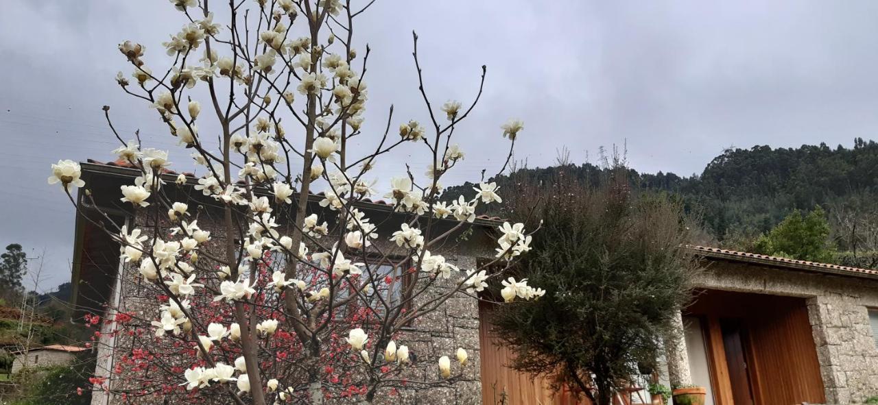 Cottage, Casa Do Laranjal - Near 제어스 외부 사진