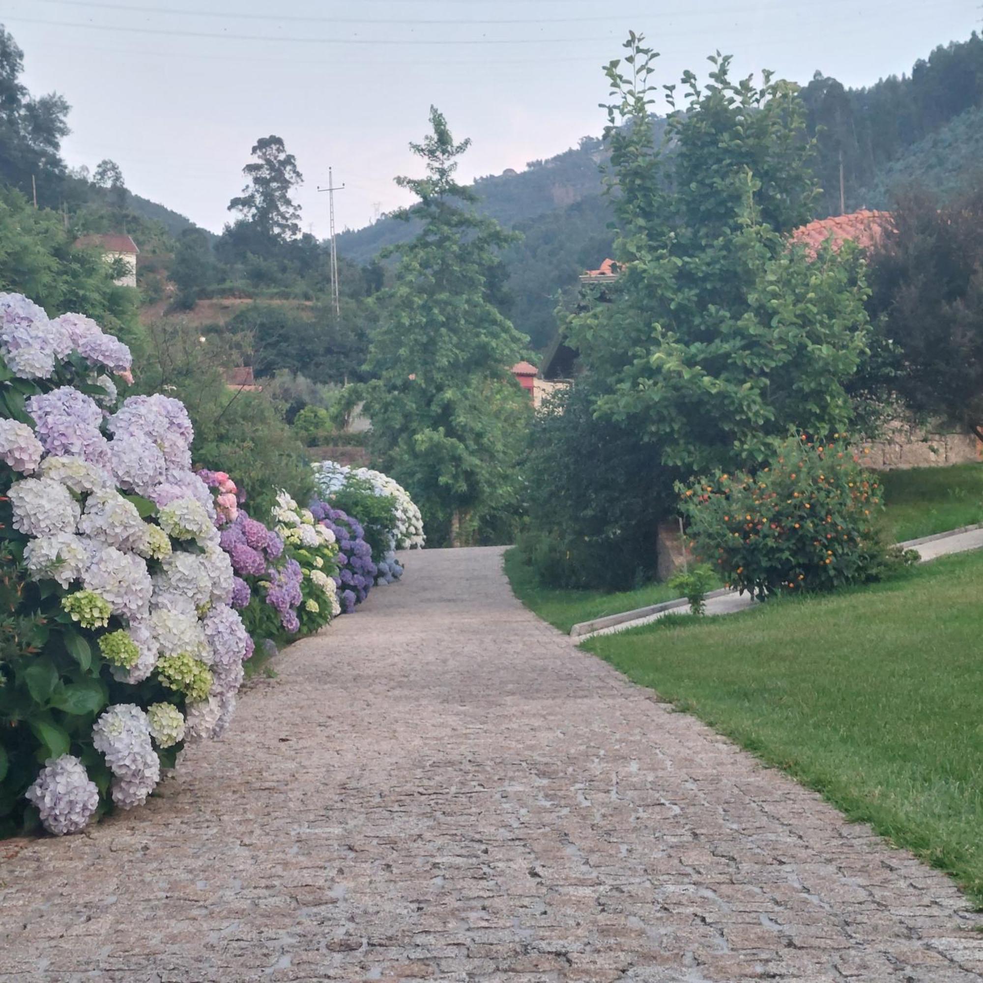 Cottage, Casa Do Laranjal - Near 제어스 외부 사진